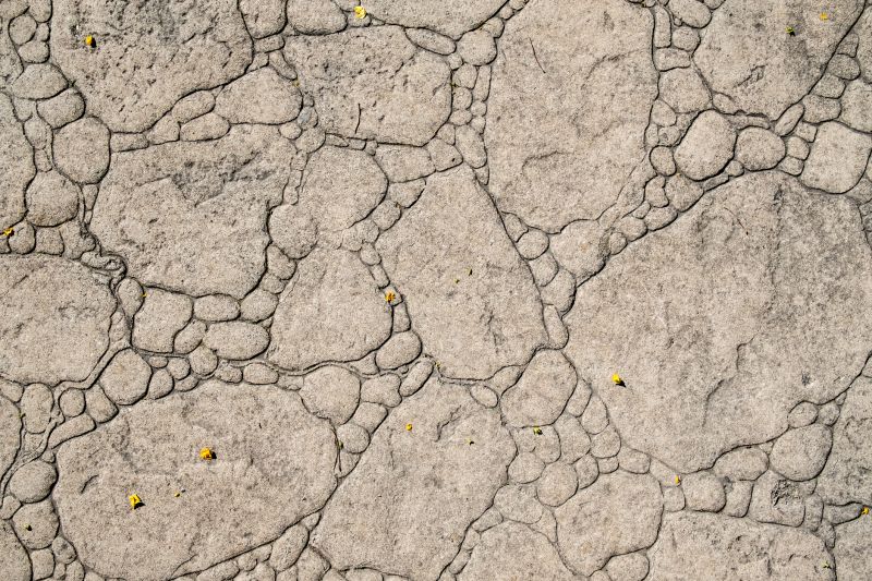 Decorative Concrete Repair in Gilbert, AZ